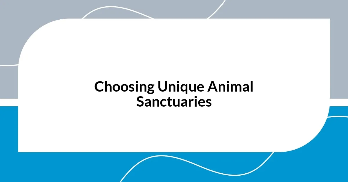 Choosing Unique Animal Sanctuaries