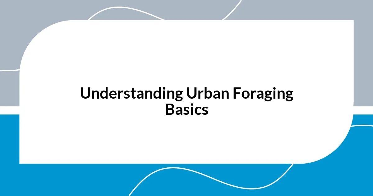 Understanding Urban Foraging Basics